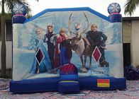 大きい凍らせていた Happy Hop Inflatable Bounce 王女の家の内部のスライド